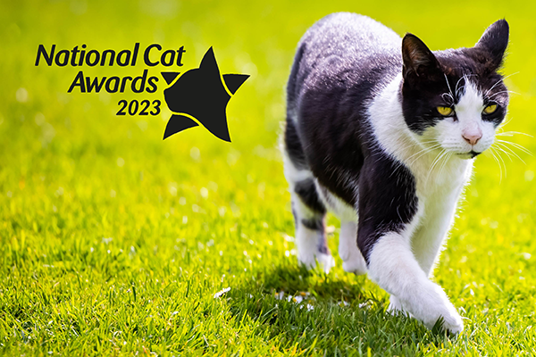 There’s still time to vote in this year’s National Cat Awards! Voting has been more popular than ever, so make sure you choose before Friday 30 June. Choose your favourite moggies here bit.ly/3qFNKL2 #HereForTheCats #NationalCatAwards #CelebratingMoggies