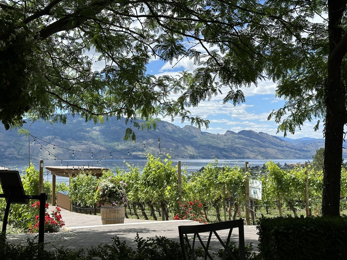 David Coletto 🇨🇦 tweet media