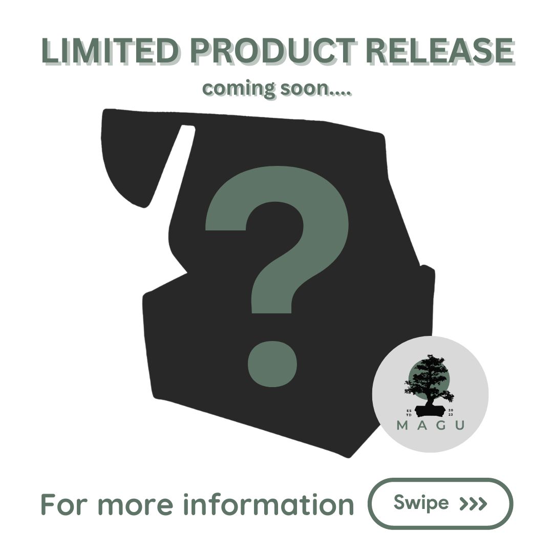 magucorp's tweet photo. Unveiling the first glimpse of our exclusive upcoming product! With a limited count of just 1500 boxes, they won't last long. 

Stay tuned for more updates and take your first step towards feeling healthier and happier ~ #CBDWellness #CBDLife #CBDCommunity #CBDHealth #Hemp https://t.co/Krzh5QS9fF
