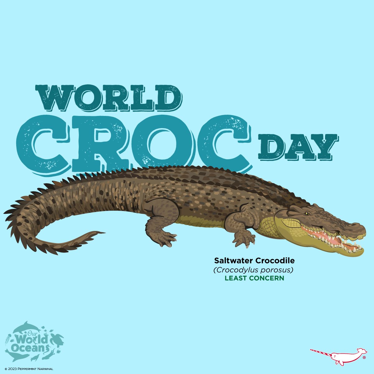 PepomintNarwhal's tweet photo. #WorldCrocDay #CrocDay #SaltwaterCroc #OurWorldOceansMonth
Shop #PeppermintNarwhal at: https://t.co/bQXxNGbEjD
#SaltwaterCrocodile #Saltie #Crocodilian #OurWorldOceans https://t.co/JmpmJonfFA