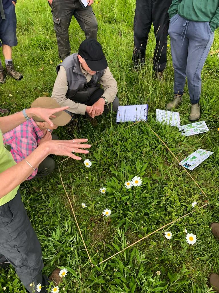 Thanks to funding from @WildFlowerSoc, DWT's Avon Valley Project were able to organise a meadow ID workshop with Avon Valley Meadow Makers. Led by local botanist @Fiona_Ecologist, landowners learned how to identify field plants so they can monitor their meadows! #ThanksToYou