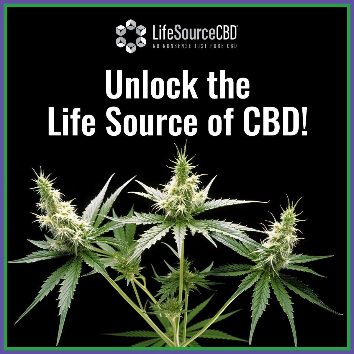 lifesourcecbd's tweet image. Discover a world of wellness, balance, and rejuvenation with our premium CBD products. Whether you're seeking relaxation, relief, or restoration, Lifesource CBD is your key to unlocking a healthier, happier life. 

#cbd #thc #hemp #cannabiscommunity #cbdoil #cbdhealth
