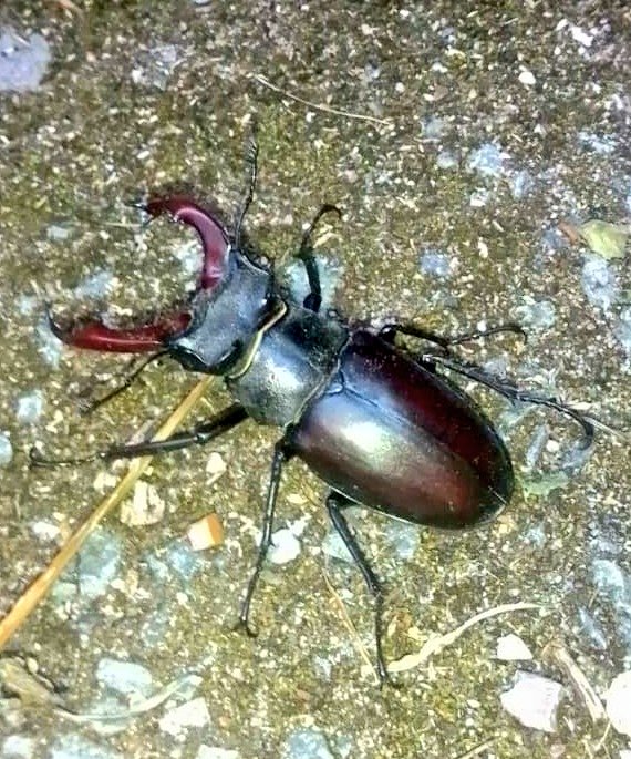 Cllr Caroline Page 🔶 tweet media