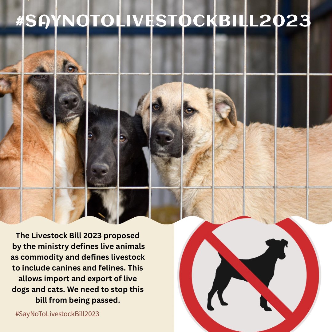 ACGSsanctuary's tweet photo. #SayNoToLivesstockBill2023 https://t.co/HPopeVHfXC