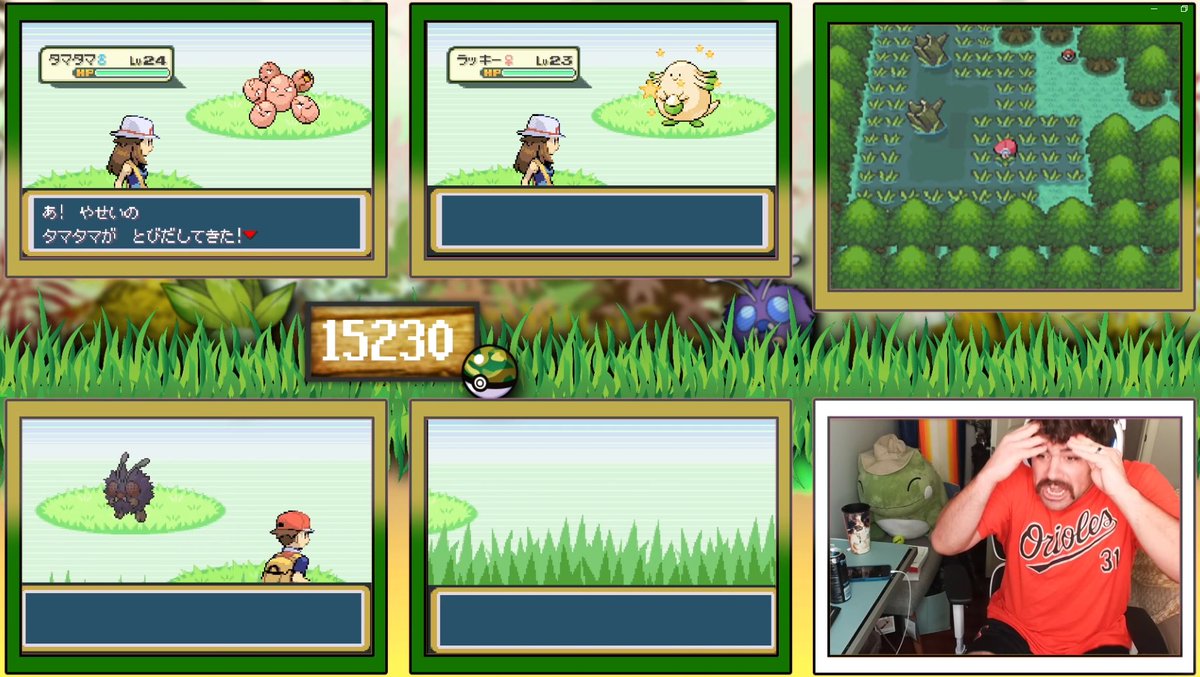 #safariweek2023 comes to a dramatic end for me with a 1% Shiny Chansey!! This is the rarest shiny ever for me by a long shot! Not even gonna front, it fled first turn, but still so cool to see! Gonna start editing my compilation now! Still in disbelief what the heck