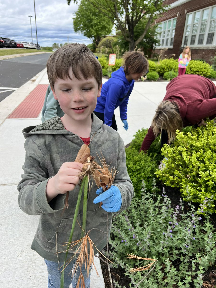 Students helping to beautify our school :)