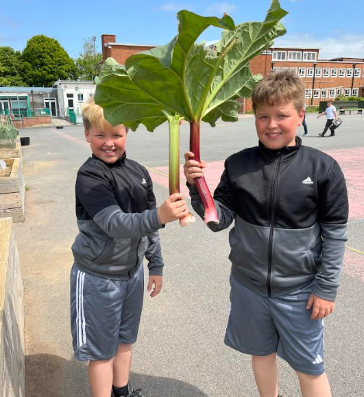 We are freezing the rhubarb for a future Big Outcome!