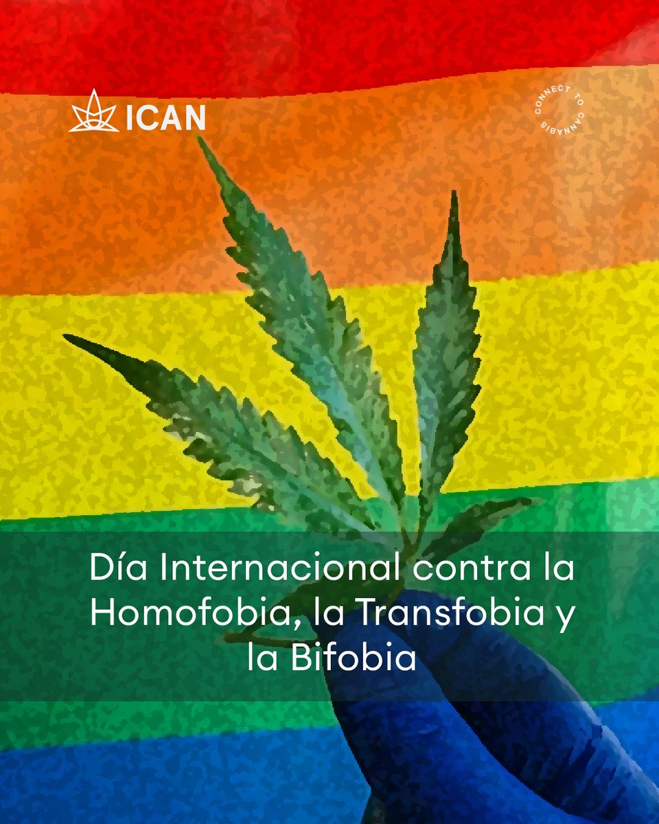 icanlat's tweet photo. Desde 1990, cada 17 de mayo se conmemora el Día Internacional contra la Homofobia, la Transfobia y la Bifobia. Durante décadas, las poblaciones sexodisidentes se han vuelto una pieza clave en la lucha cannábica. Lee más 👉📚 https://t.co/5glAJGsI8W https://t.co/q0WgbAJvSr