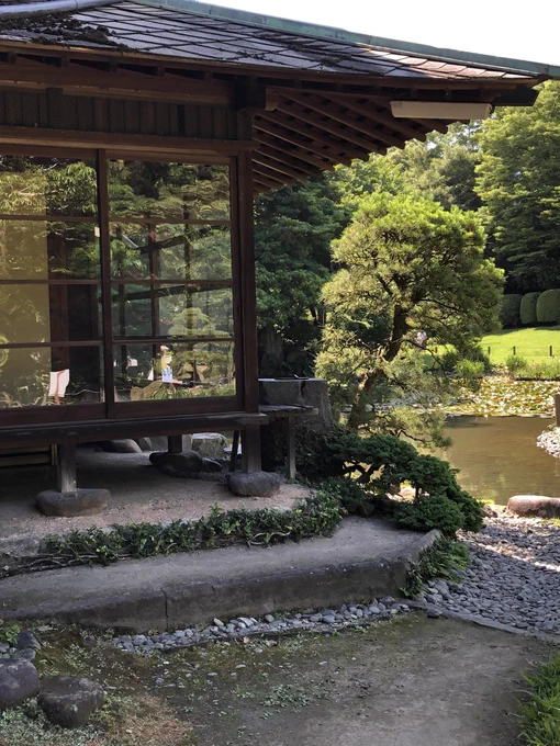 八代松井家別邸松浜軒へ行ってきました 昔のお屋敷な日本家屋を見てみたくて  謎だった屋根の裏側とか床下とか周り廊下とかじっくり見学 丁度、肥後花菖蒲の頃合で  松井くんが来たことあるかどうかは、多分来たことないでしょうけどゆかりある御家だったということで松井くんをどうぞ