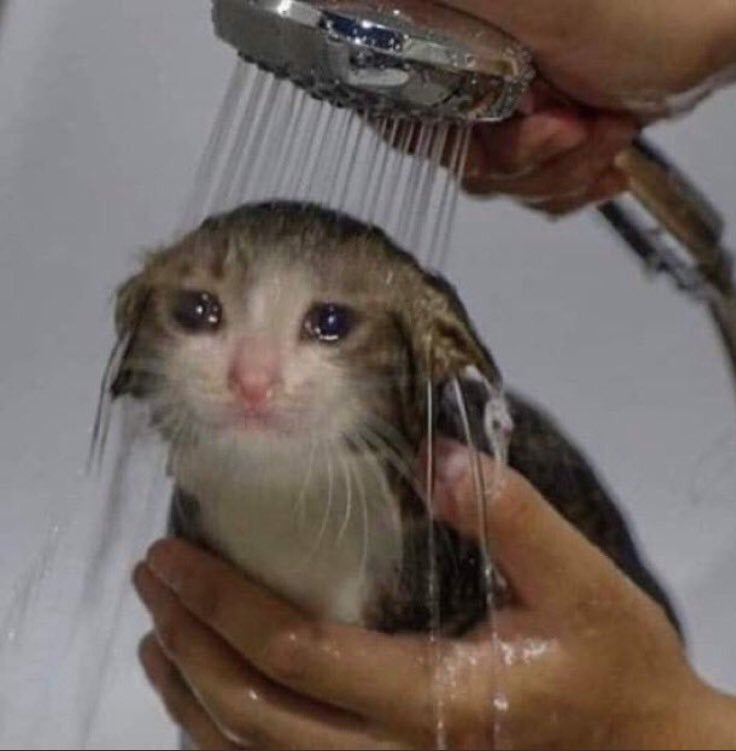 DeltaChipCookie's tweet photo. @LukewarmSkia This but you're holding the shower head https://t.co/XyMRugemb3