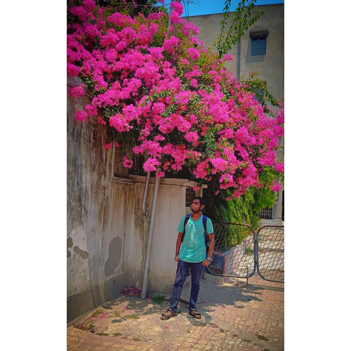 yourbongchamp's tweet image. How is it please rate it 
.......
#photography #photooftheday #photocapture #moment #LIKEITLIKEIT #follow #howisit
