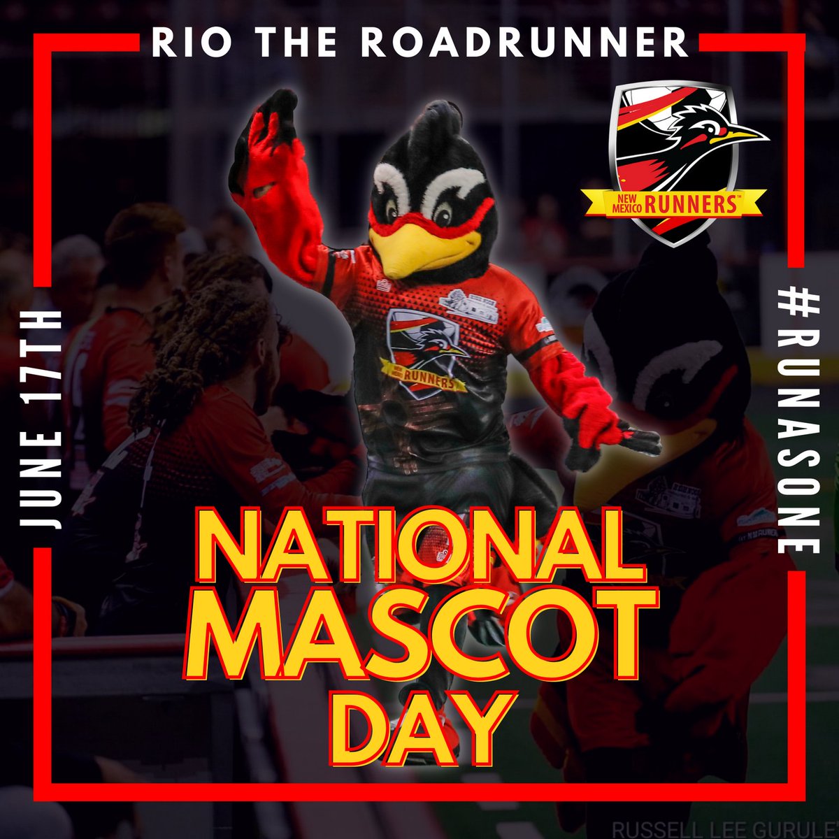 nmrunners's tweet photo. 🎉Wishing our own @RioRoadrunner a very Happy #NationalMascotDay!🎉 Today we appreciate the fun he brings to every game day &amp; event building memories of #NewMexico's favorite #arenasoccer team! ⚽️ #runasone #nmrunners #mascot #roadrunner #soccer @M2ArenaSoccer @RREventsCenter https://t.co/f65lA7Pe6i