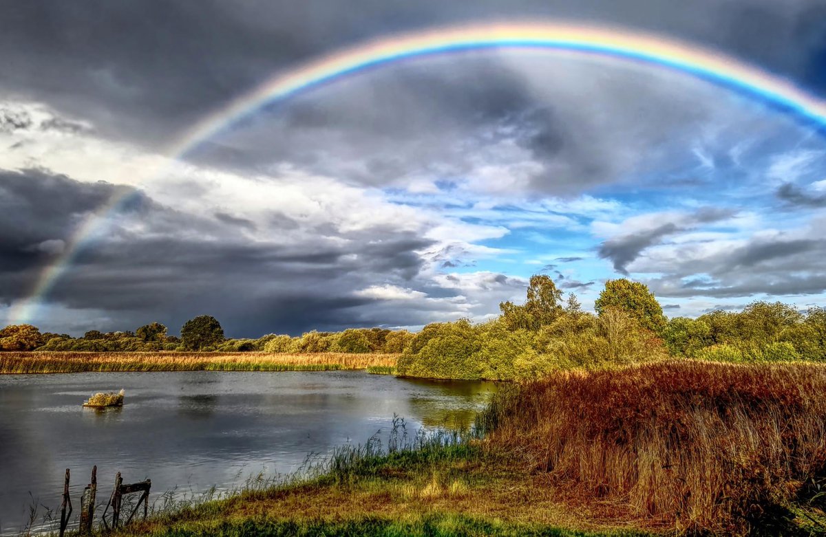 Do you have any favourite Great Fen photos to #CelebrateTheFens today? Landscape or wildlife, we’d love to see them all! 

📸 Guy Pilkington