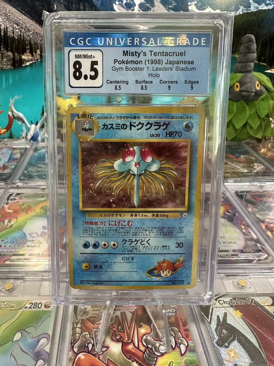 PackFlipps's tweet photo. 🔥 #GIVEAWAY 🔥 
To enter you MUST
✅ Follow this account
✅ Follow PackFlipps on Twitch 
✅ Retweet this Post
ENDS JUNE 24th 2023

CGC 8.5 Misty’s Tentacruel https://t.co/7zPHxchv6B