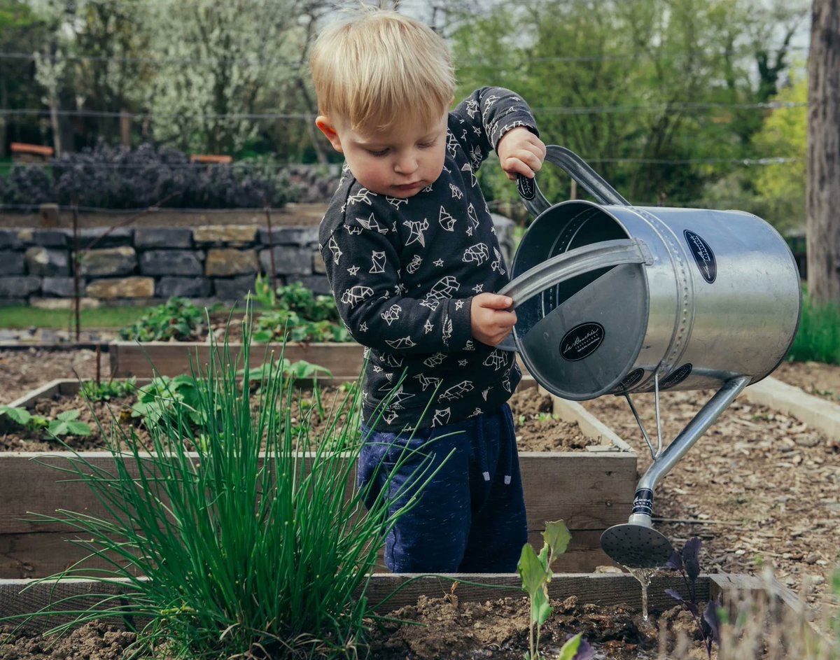 Shelter Bay is a great place to start a garden! Here a few options that you can grow in your own garden at Shelter Bay:

- Basil
- Peppers
- Arugula
- Squash
- Tomatoes

Check the Farmer’s Almanac calendar for more ideas and best planting times.

#homegarden #enjoytheoutdoors