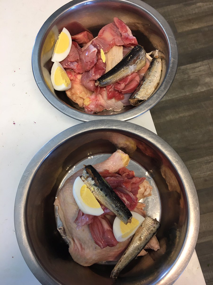 Tara808's tweet photo. Lunch for Chaos and Fury. Mostly raw. Goofballs hate raw eggs. #rawfeddogs #Carnivore https://t.co/q90hnwK8X4