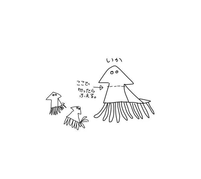 @EX_SEED_TL
ルイぴの主張 
