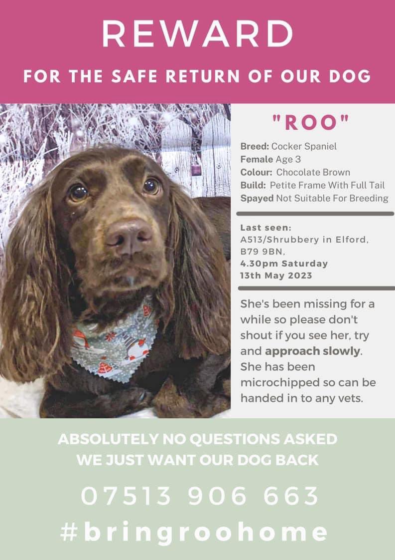 Thank you so much for all your retweets and support 💗🐶🐾
Please print out this latest poster and put in your cars, community centres, dog groomers, vets, pubs, petrol stations etc.
Share everywhere - 
Let’s make Roo TOO HOT TO HANDLE and together we can #BringRooHome