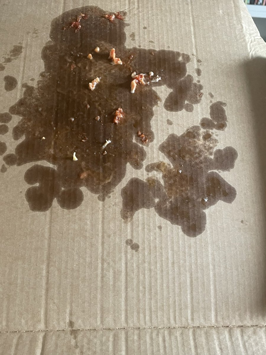 JoeThirkill's tweet photo. @Dominos_UK what is going on with not using the white table things in the pizza boxes 3x pizzas ordered &amp; bottom one is not edible kids are crying now had to feed it to the dogs and the kids are now eating dog food a lot of money down the drain &amp; kids be poorly thanks for that https://t.co/KMkH9xsh4h