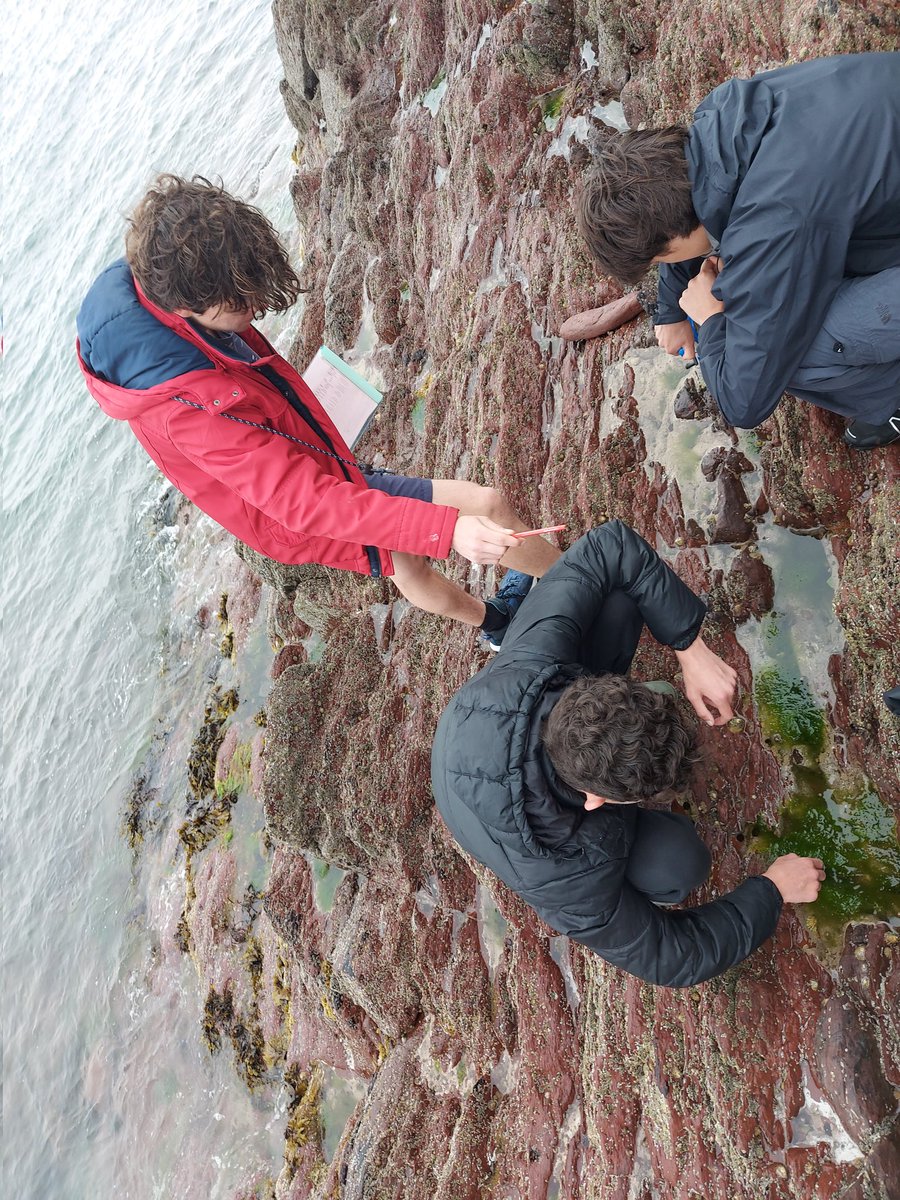 dalefortcentre's tweet photo. Charterhouse on their last morning with us looking at rock pool diversity. After a few days on the rocky shores, these students were fantastic at identifying everything!! #fieldstudiescouncil #rockyshores #rockpooldiversity #alevelbiology #charterhouseschool https://t.co/jwYDreVIyI