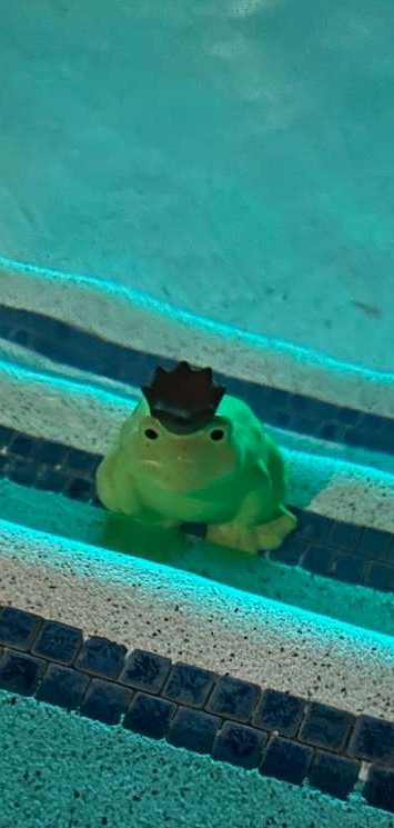 Mooodles's tweet photo. He is in da water https://t.co/jnBJ2f3Wt6