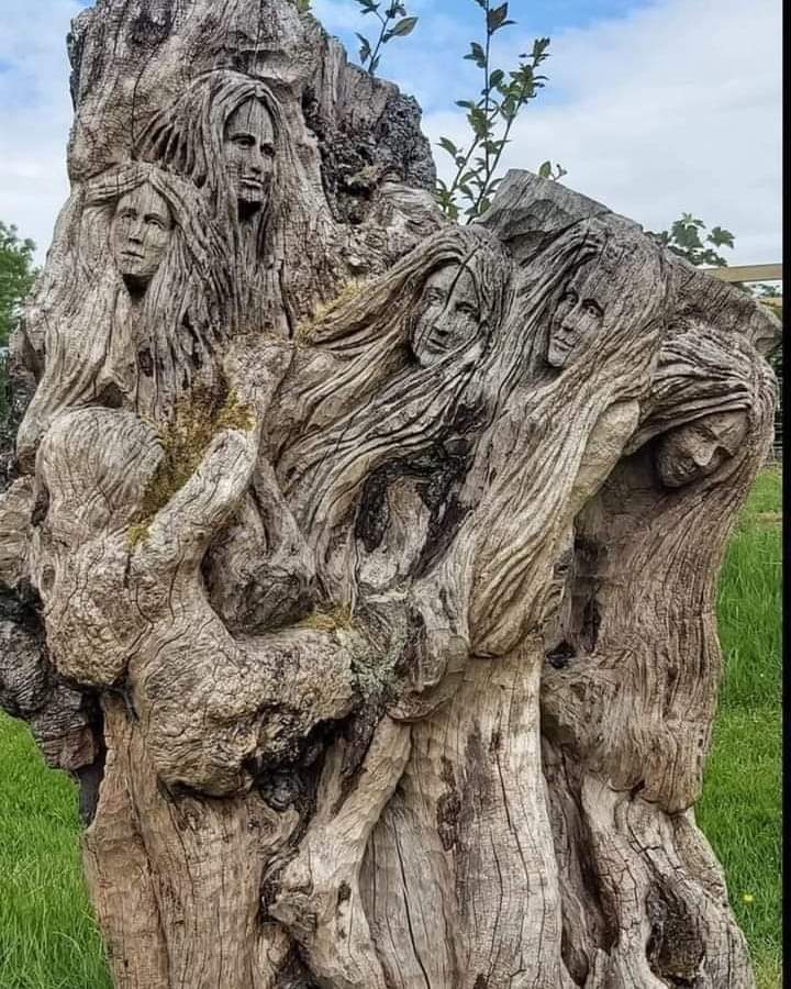 Sema Akyol (@akyolsema123) on Twitter photo 