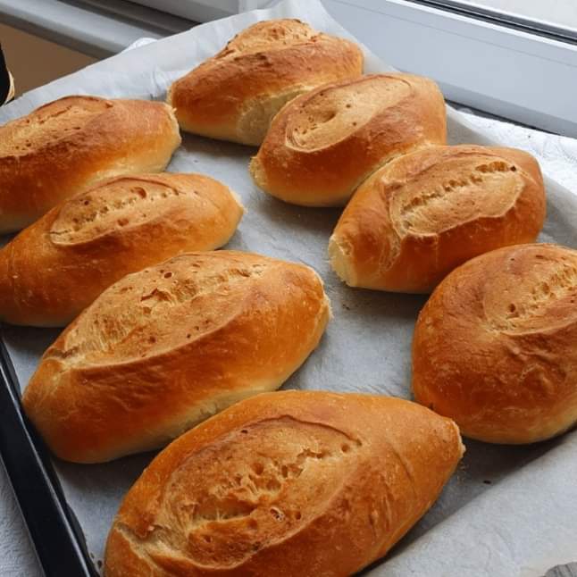 Sema Akyol (@akyolsema123) on Twitter photo 