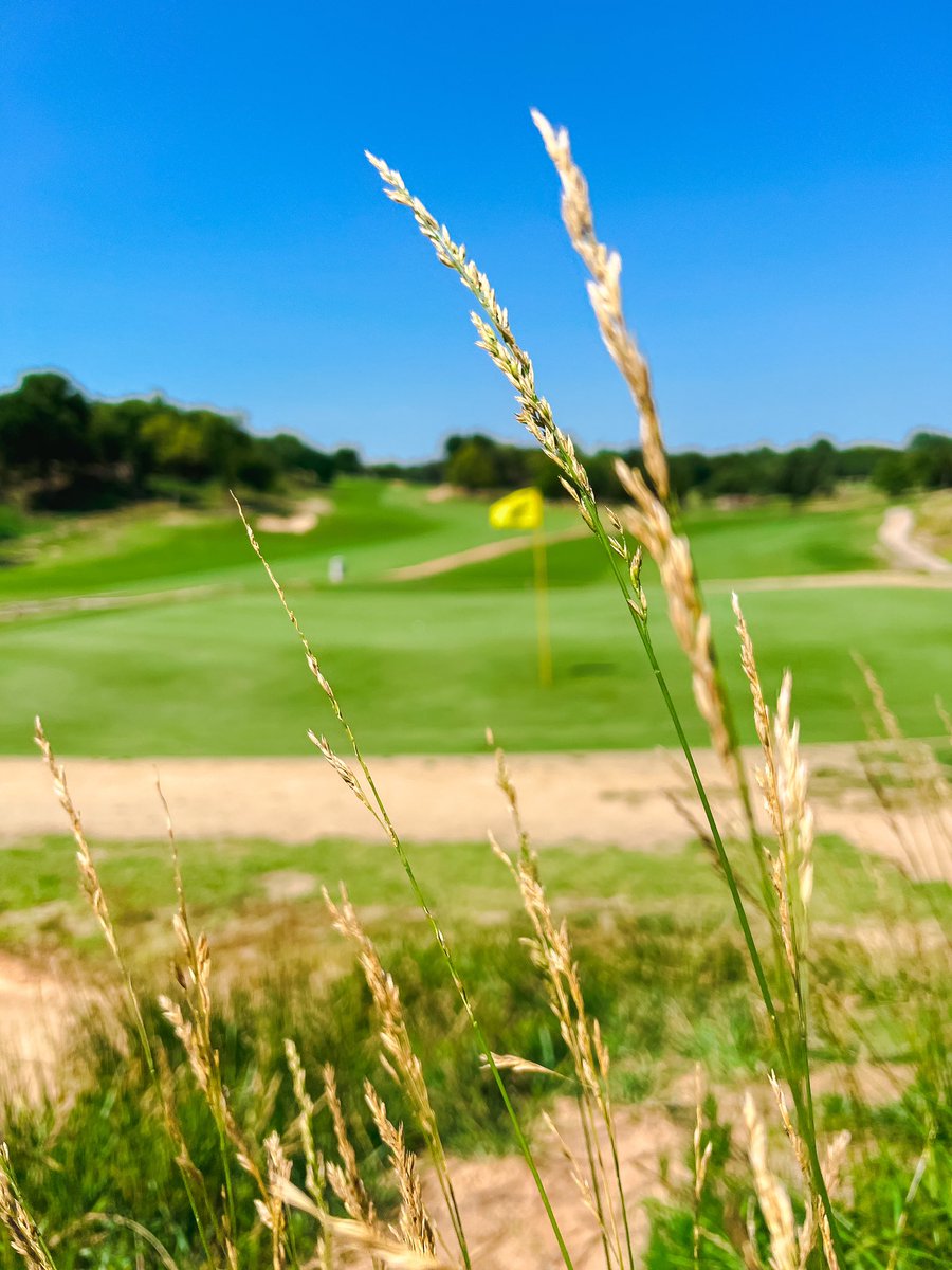 joeluber24's tweet photo. Highly recommend Boiling Springs Golf Club. From tee to green, clubhouse to hospitality, phenomenal experience. The attention to detail that Jeff has put into this property is special. Mad at myself for not coming sooner, but already looking for an excuse to get back up there. https://t.co/JpGkJnkiov