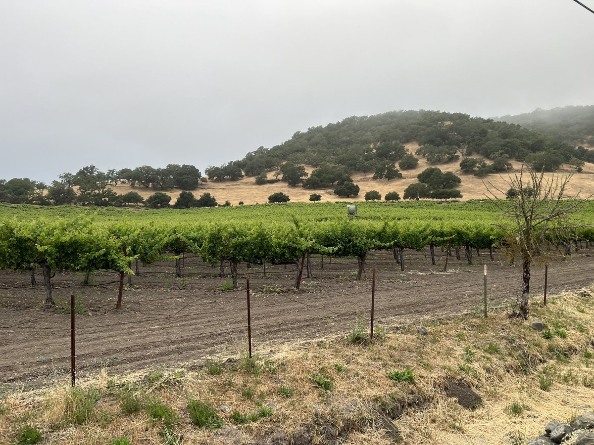 Derrick Smith (@dsmithcshs) on Twitter photo Some great travel food and travel views this week. Hope summer fun is in full swing <a href="/SandburgHS/">Carl Sandburg H.S.</a>! #sandburgsummer Some great travel food and travel views this week. Hope summer fun is in full swing <a href="/SandburgHS/">Carl Sandburg H.S.</a>! #sandburgsummer