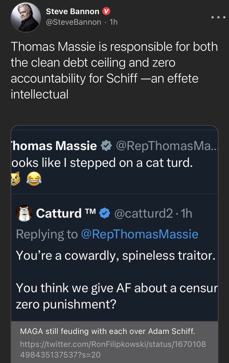 Thomas Massie is responsible for both the clean debt ceiling and zero accountability for Schiff —an effete intellectual