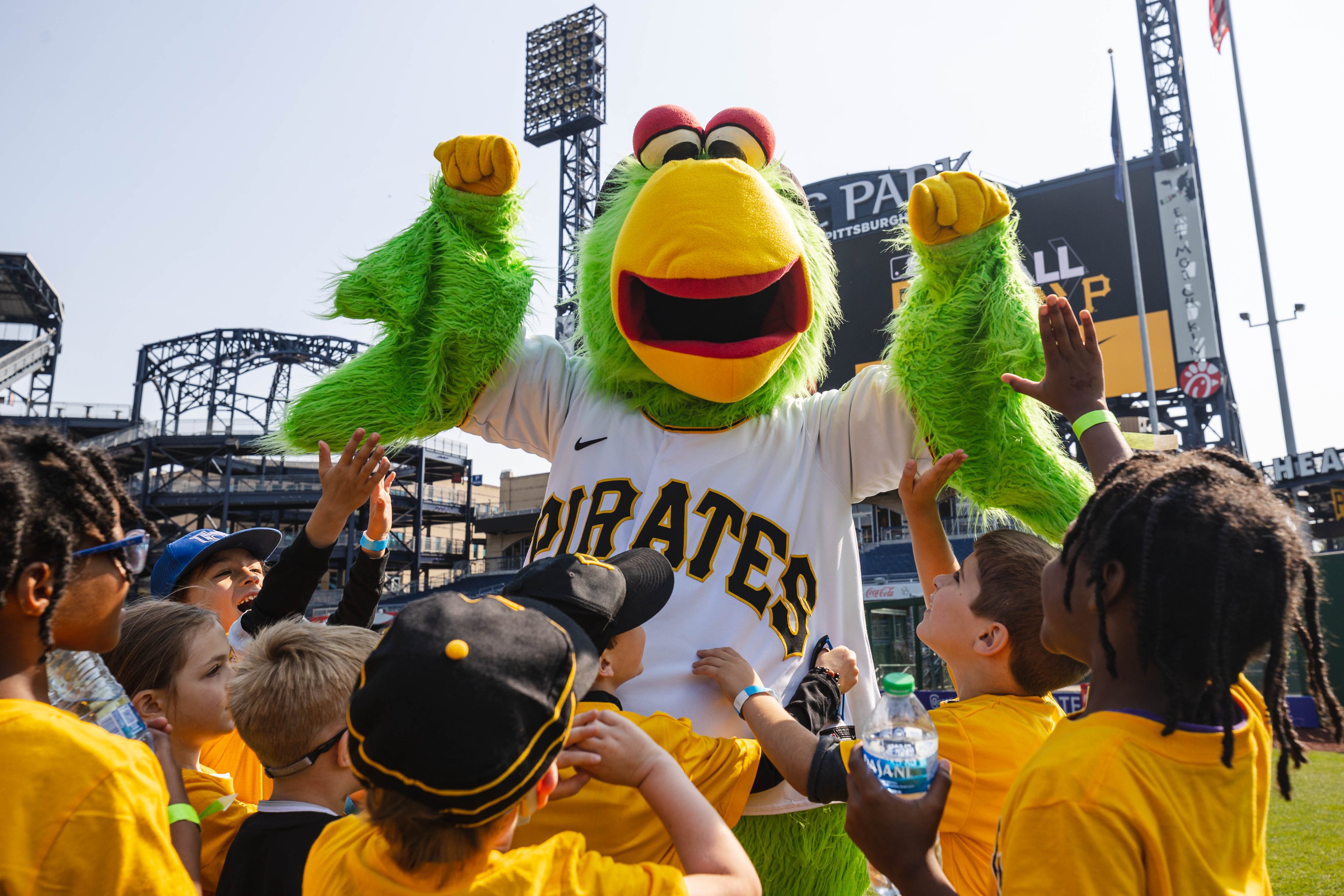 The Pirate Parrot on X: Happy #NationalMascotDay to me! 🦜 https