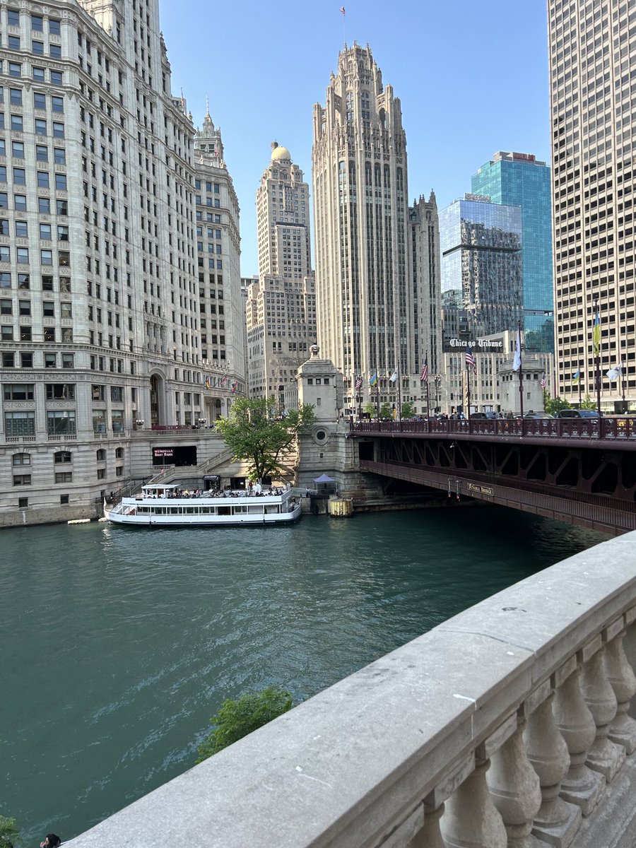 At #ENDO2023 in beautiful downtown Chicago! Come check out the NIDDK Early Investigator Symposium tomorrow 8-9:30am to hear about our work on sex differences in rhythms underlying diet-induced obesity.