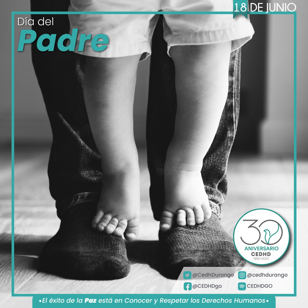 CedhDurango's tweet image. ¡Feliz día papá!
Promover las paternidades activas, afectivas y comprometidas con el desarrollo integral de Niñas, Niños y Adolescentes es promover la protección de los Derechos de #NNA.

#SomosCEDHDgo