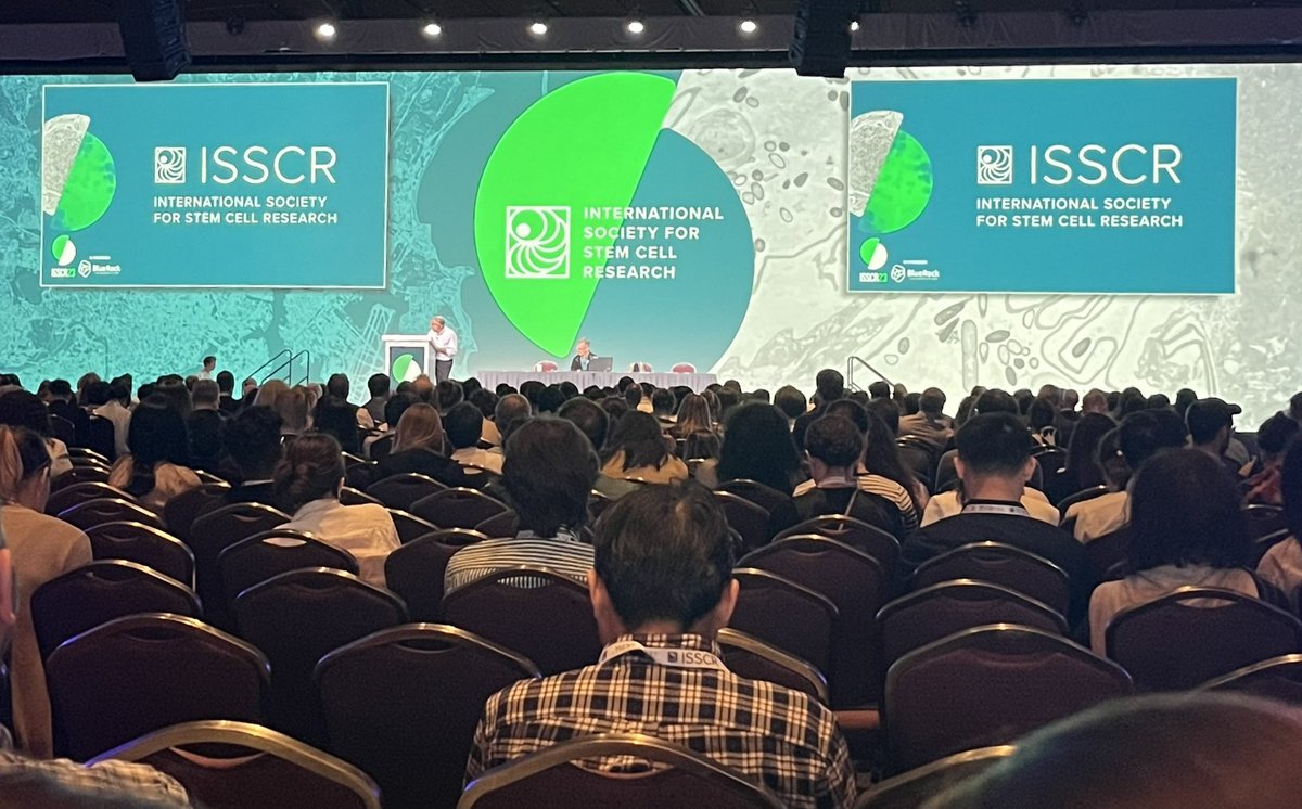 What a great conference! Connected with wonderful people/amazing scientists and learned a lot. So much interest in our cerebellar organoids!!!Always a pleasure #ISSCR2023
#GQlabUSC #brainorganoid #cerebellarorganoid #cerebellum