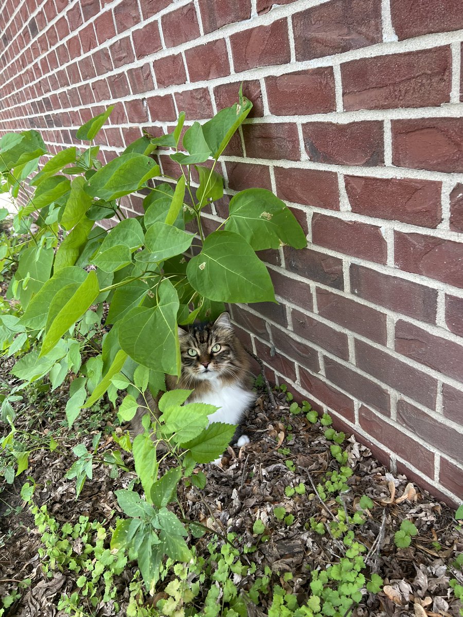 Kat !!!! tweet media