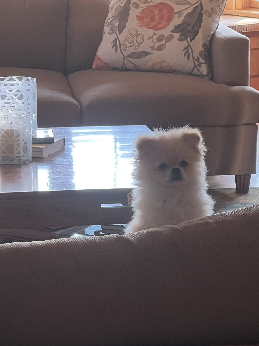 Kat !!!! tweet media