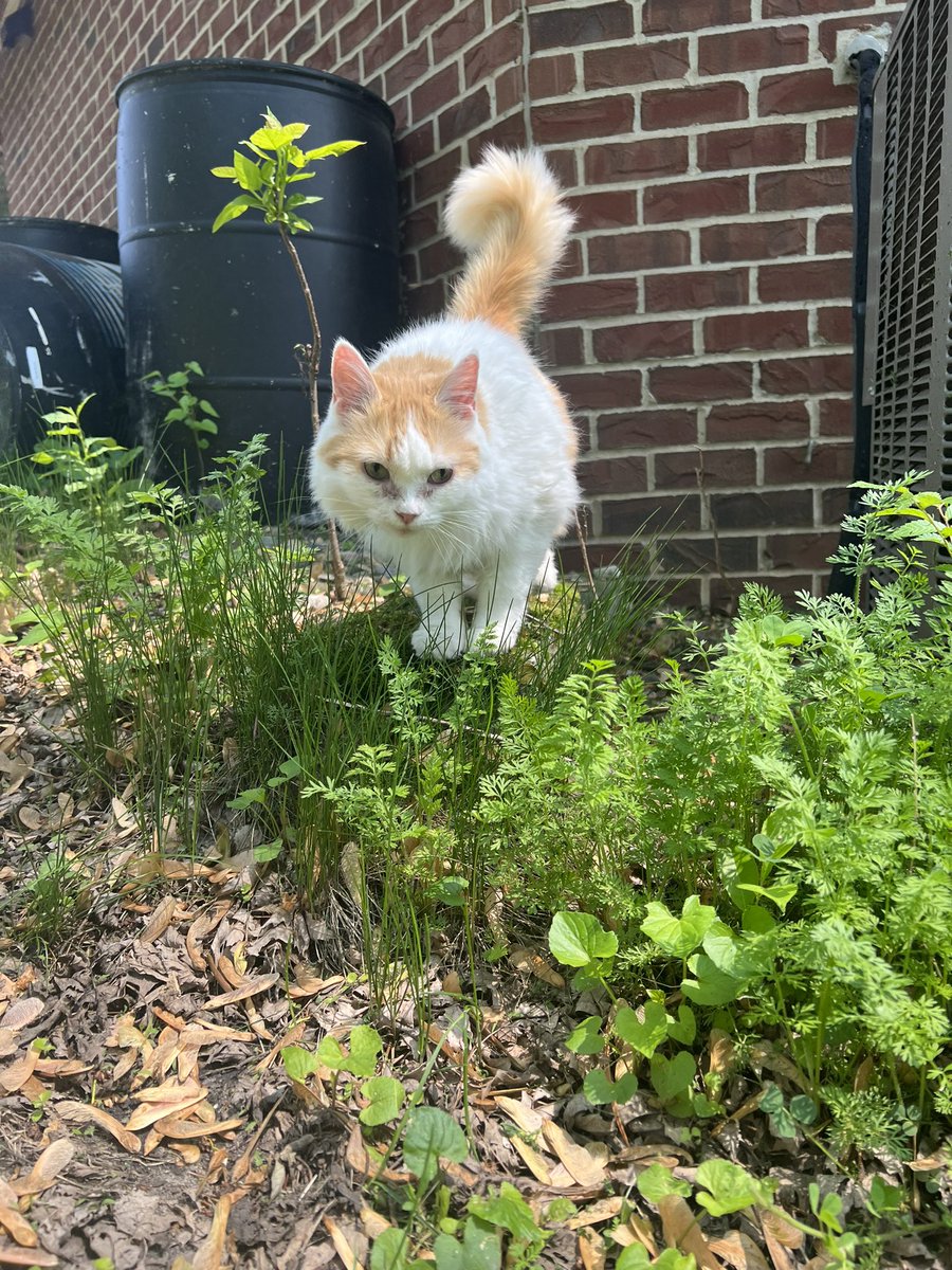 Kat !!!! tweet media