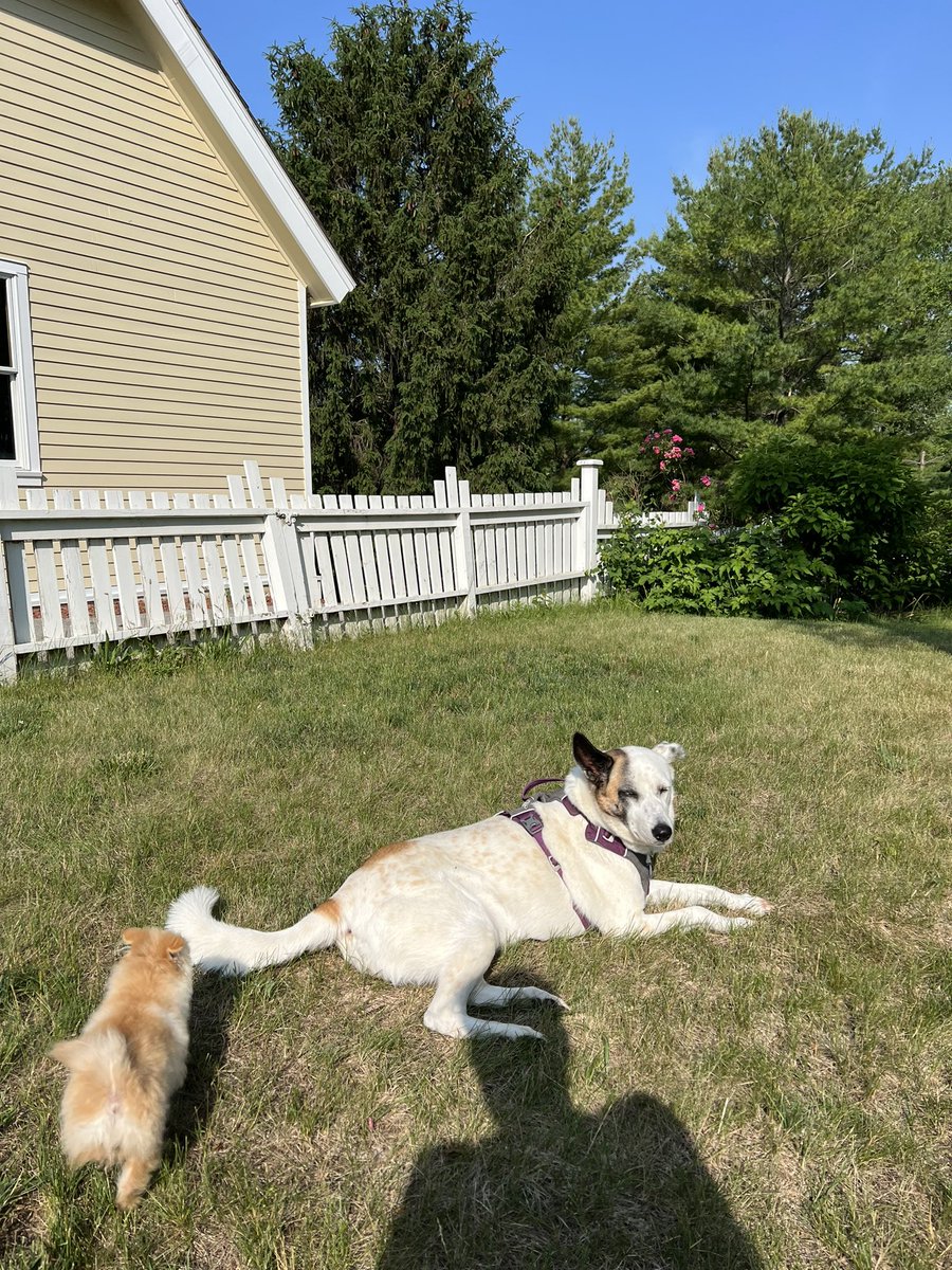 Kat !!!! tweet media