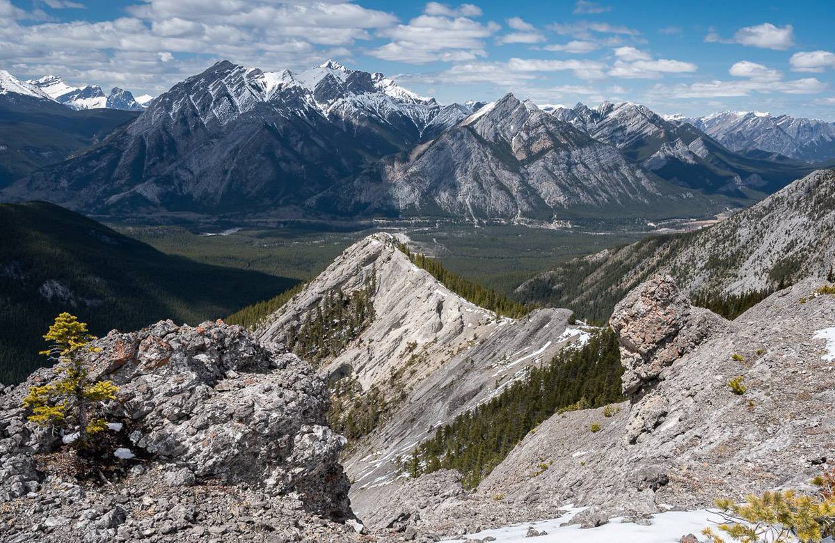 The Porcupine Ridge hike in Kananaskis is a winner - and well worth the 4.5 - 6 hour long #hiking adventure 
hikebiketravel.com/porcupine-ridg…
#explorekananaskis