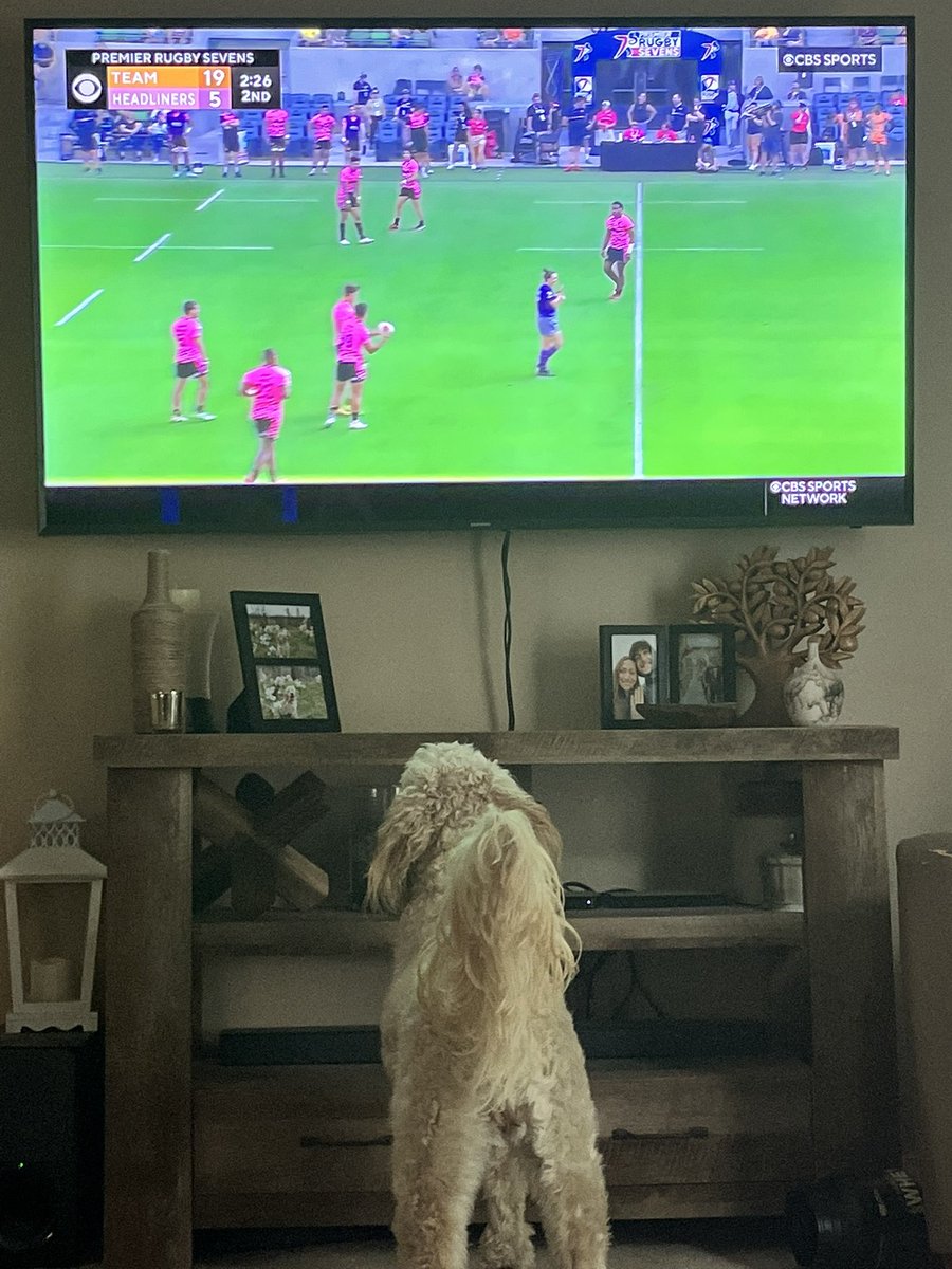 KASully16 tweet media