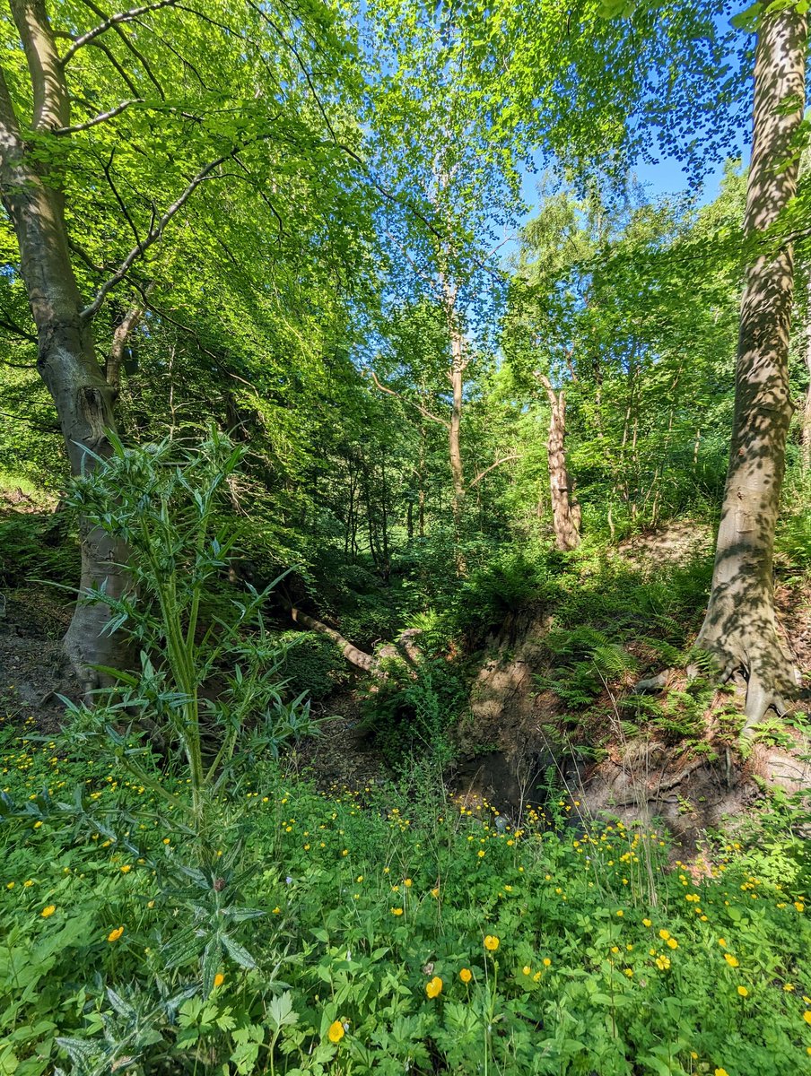 Goodnight from the wilds of Scotland. See you tomorrow you wonderful people 😁