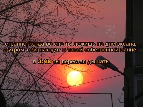 госпожа дешевка (@rtsaran_) on Twitter photo 