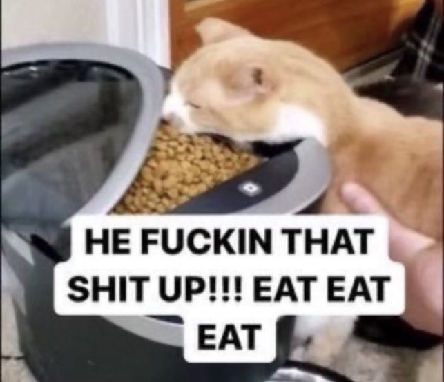 The kibble… it beckons me