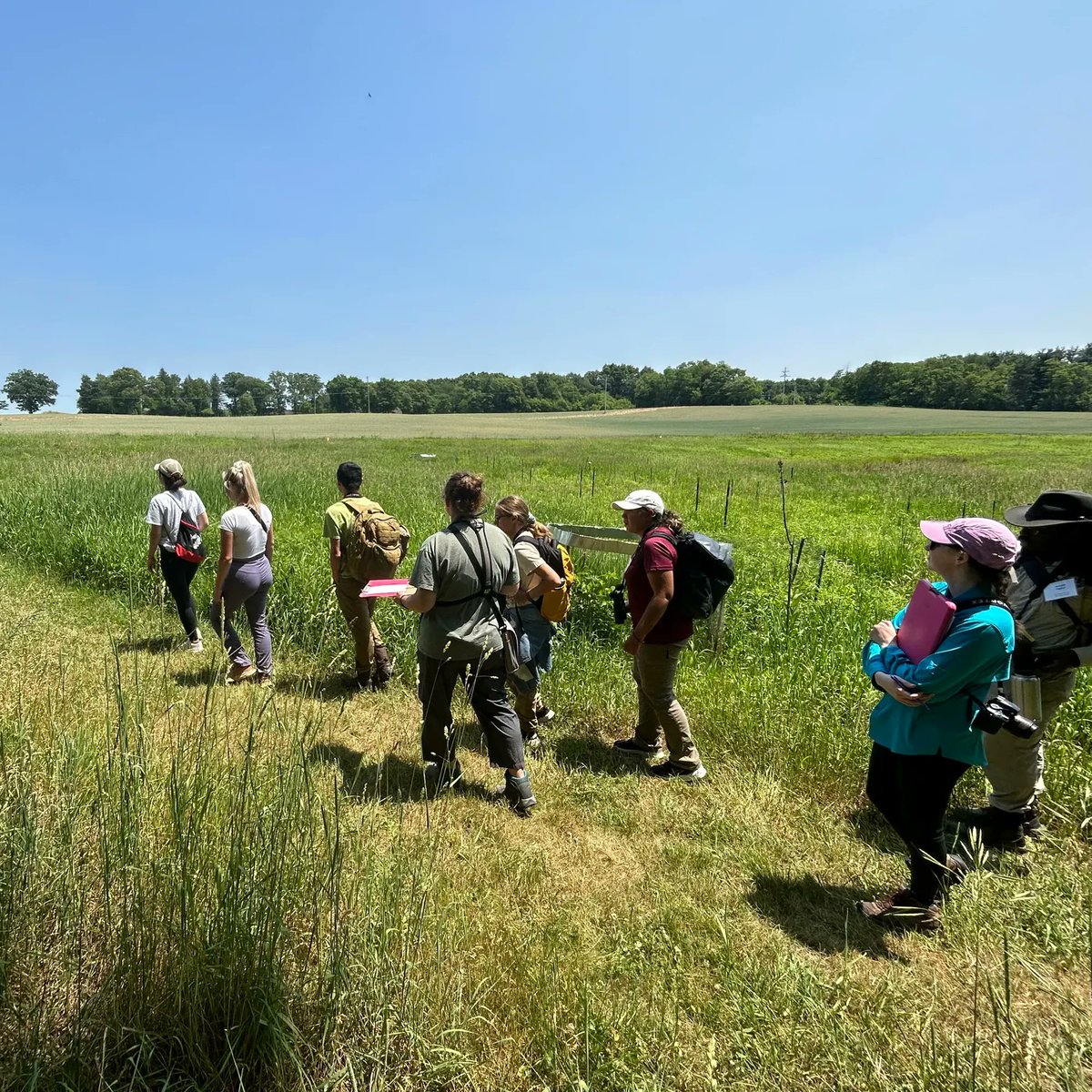 KelloggBirdSanc's tweet image. Thank you to all who participated in today’s #MSUKBS BioBlitz! 🐛🌿🔍 Groups surveyed biodiversity across the Sanctuary’s many habitat types, including prairie, forest, wetland &amp;amp; agriculture. Stay tuned as we compile the data &amp;amp; learn which species were recorded! 📸: Sarah Roy
