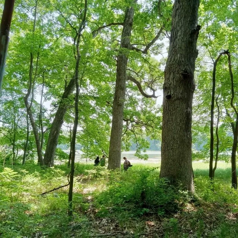 KelloggBirdSanc's tweet image. Thank you to all who participated in today’s #MSUKBS BioBlitz! 🐛🌿🔍 Groups surveyed biodiversity across the Sanctuary’s many habitat types, including prairie, forest, wetland &amp;amp; agriculture. Stay tuned as we compile the data &amp;amp; learn which species were recorded! 📸: Sarah Roy