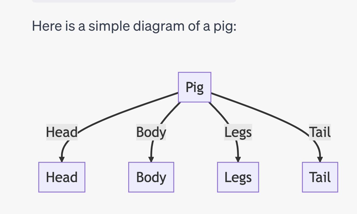 A simple diagram of a pig
