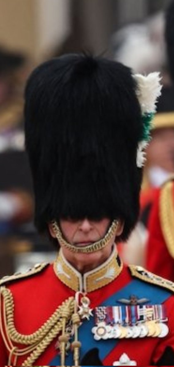 Can people seriously not see the stupidity of these parades?? The guy who reckons is all about 'conservation' riding a horse with a dead bear on his head, shot in Canada. It's not about tradition it's about ego.
#AbolishTheMonarchy
#NotMyKing
#CharlesTheCruel 
#TroopingTheColour