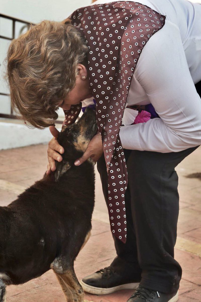 El cambio por el que estamos trabajando en el Estado de México es también por los animalitos de compañía. Las, les y los invito a adoptar, todos merecen un hogar y a cambio les darán amor incondicional.