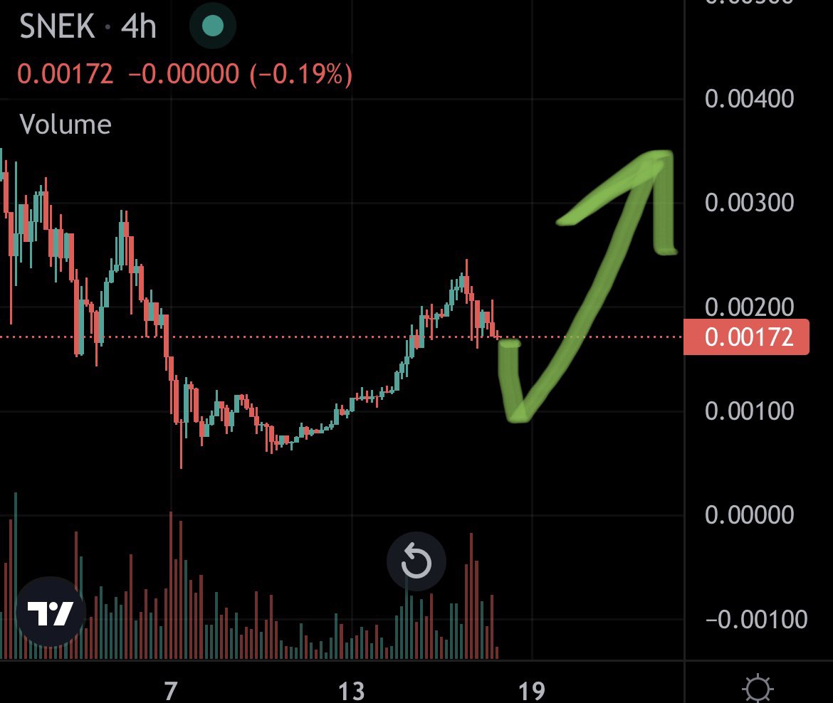 CryptoGnojek's tweet image. IF this area fails, could potentially see something like this. 👀🐍

A quick last capitulation wick and off we go.