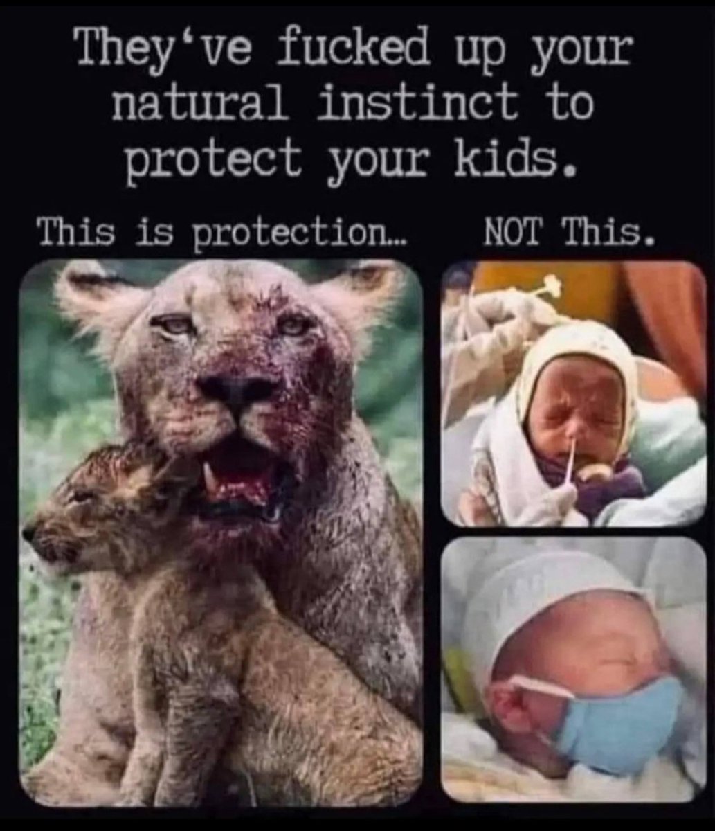 This sums up everything about the last three years. Unless you identify with the lion on the left, you're a fucking idiot. End of